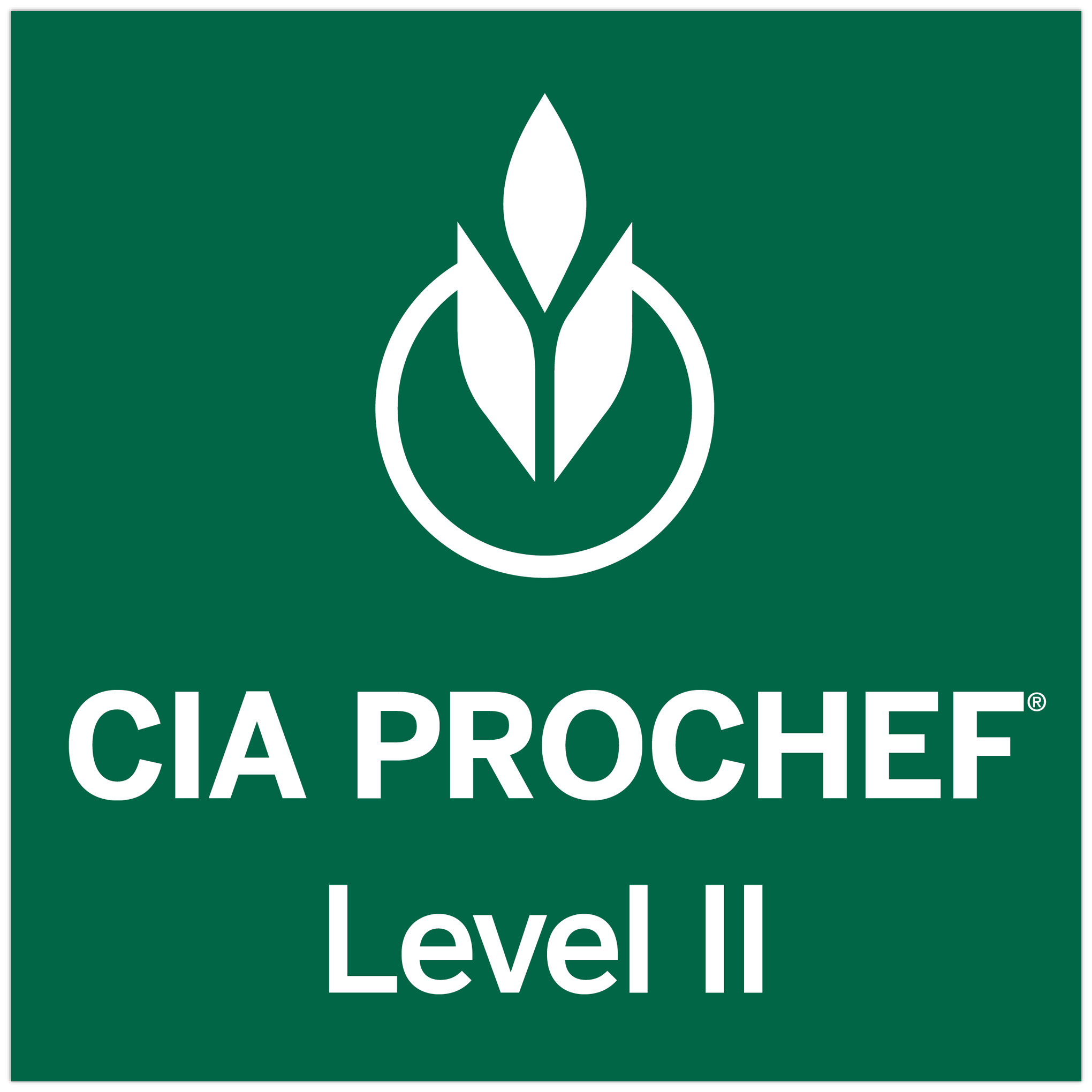 CIA ProChef Level II